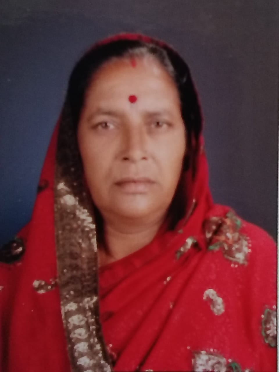 उपसरपंच